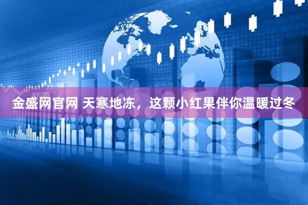 金盛网官网 天寒地冻，这颗小红果伴你温暖过冬