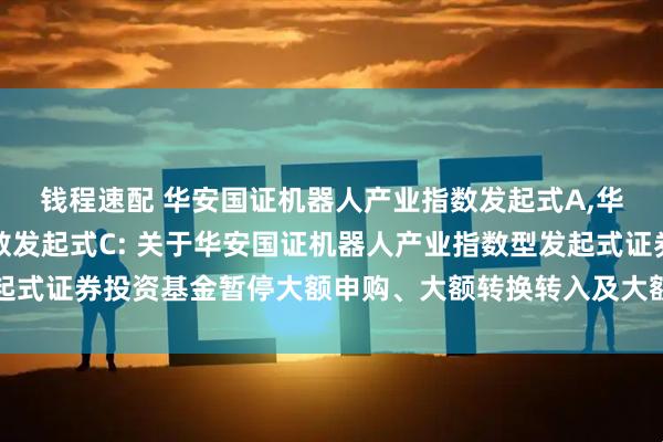 钱程速配 华安国证机器人产业指数发起式A,华安国证机器人产业指数发起式C: 关于华安国证机器人产业指数型发起式证券投资基金暂停大额申购、大额转换转入及大额定期定额投资的公告