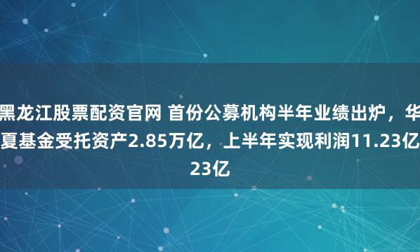 黑龙江股票配资官网 首份公募机构半年业绩出炉，华夏基金受托资产2.85万亿，上半年实现利润11.23亿